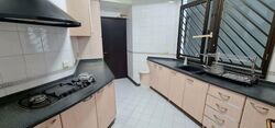 Parc Oasis (D22), Condominium #529247401